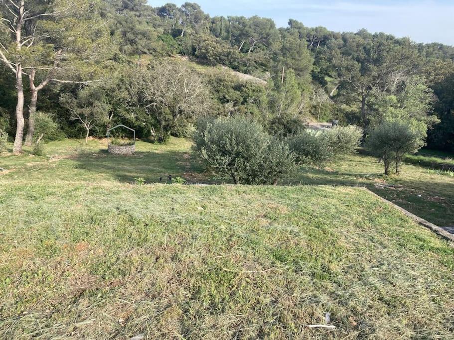 Magnifique Villa De Luxe Au Coeur De La Garrigue Nîmes Eksteriør billede